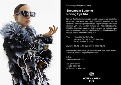 Showroom Sunumu Norveç Tipi Tilki Showroom Sunumu Norveç Tipi Tilki