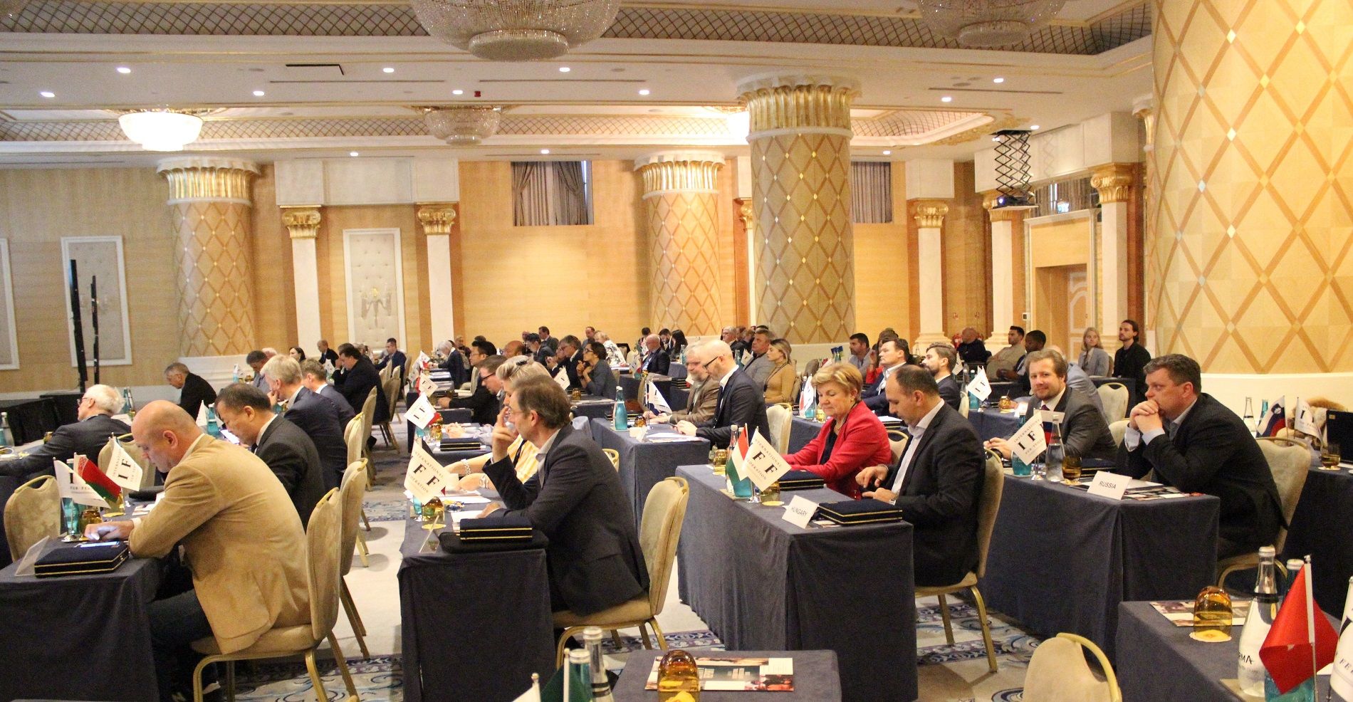 IFF AGM ve COUNCIL-2019 meetings was held in İstanbul. IFF AGM ve COUNCIL-2019 meetings was held in İstanbul.