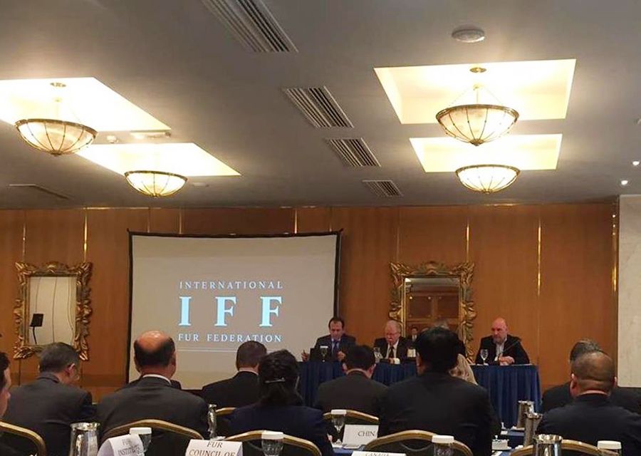 IFF Genel Kurul Toplantısı 21.10.2016 IFF Genel Kurul Toplantısı 21.10.2016